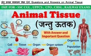 animal tissues questions and answers